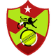 teamFlag