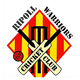 teamFlag
