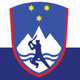 teamFlag