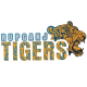 Rupganj Tigers Cricket Club
