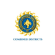 teamFlag
