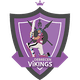 teamFlag