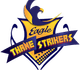 teamFlag