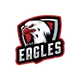 teamFlag