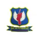 teamFlag