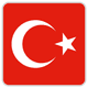 teamFlag