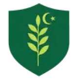 Ghani Glass