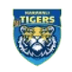 teamFlag
