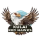 teamFlag