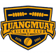 teamFlag