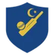teamFlag