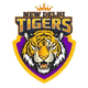 teamFlag