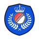teamFlag