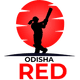 teamFlag