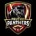 Pruthvi Panthers