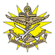 teamFlag