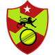 teamFlag