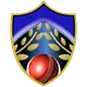 teamFlag