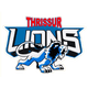 teamFlag