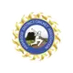 teamFlag