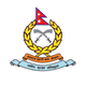 teamFlag