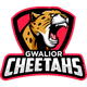 teamFlag