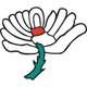teamFlag