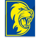 teamFlag