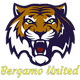 teamFlag