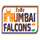 SOBO Mumbai Falcons