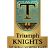teamFlag