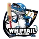 teamFlag