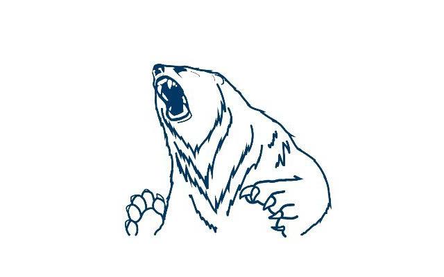 Birmingham Polar Bears