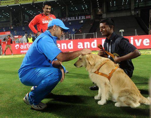 Dhoni's dog, Sam, is seen mimicking the moves of Dhoni as they sway from one side to the other.