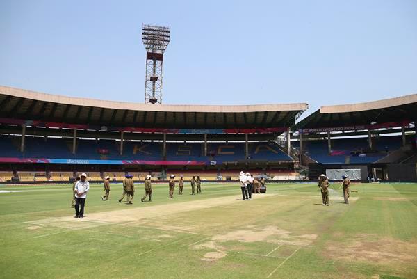 Cricket  pitch