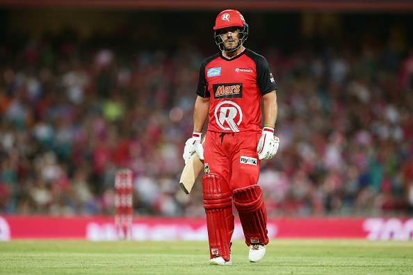 Aaron Finch of the Renegades