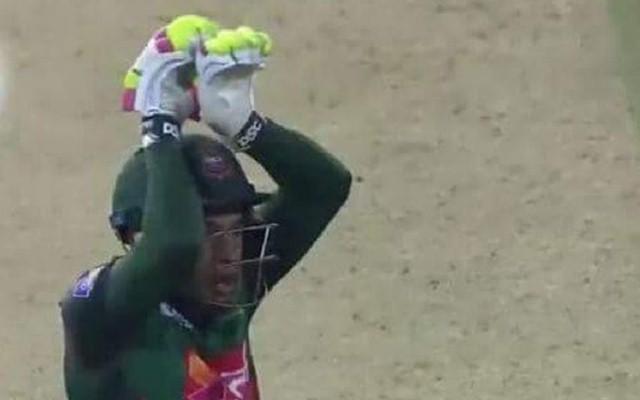 Mushfiqur Rahim brings out his snake celebration after the victory