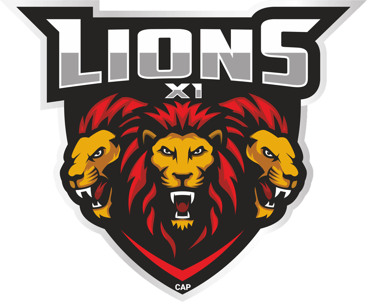 Lions XI