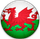 Wales Over-40s